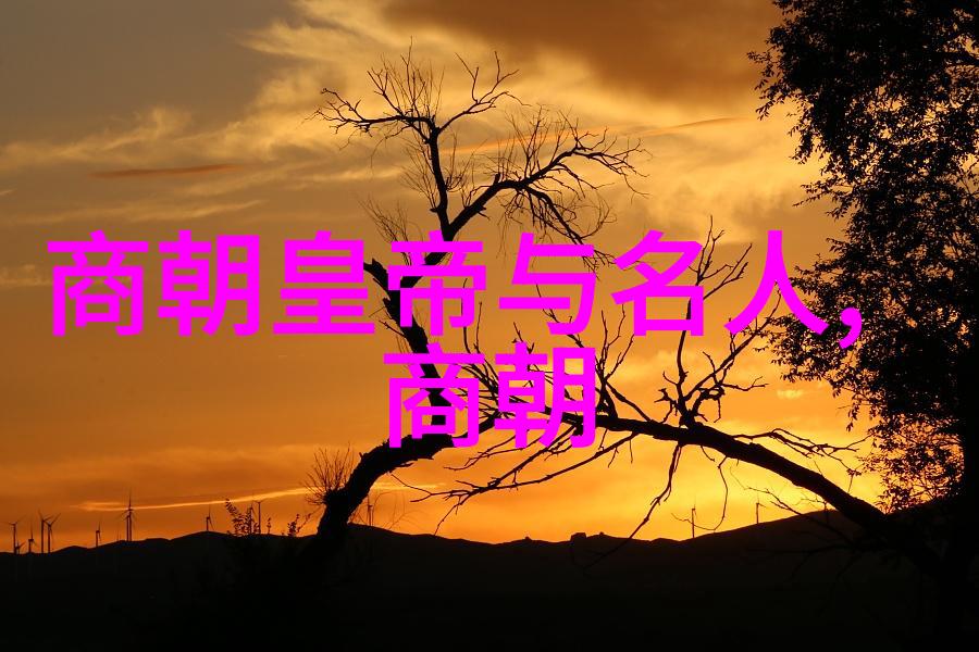 穿越时空的历史纹章解锁明朝秘密