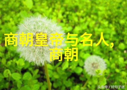 鲁进财的笔下仿佛有生命般流淌着墨水等待着你的加盟共同开启硬笔书法培训教育机构的新篇章