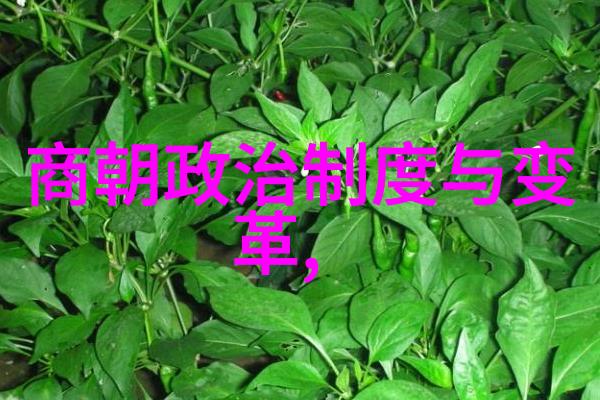 赖先传在中华论坛上的人物形象