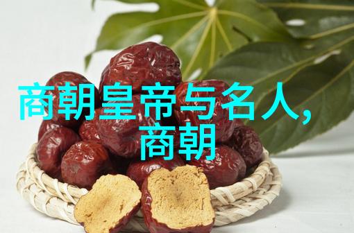 明朝由盛转衰的历史事件-大明帝国的覆灭从太平盛世到倭寇侵扰