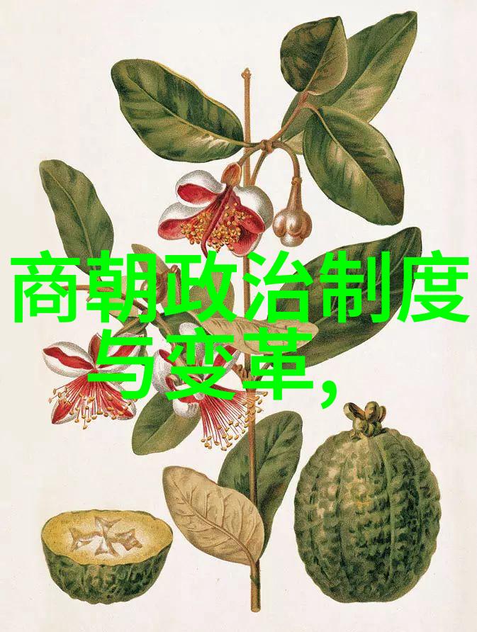 宋朝的转折从北到南的分水岭