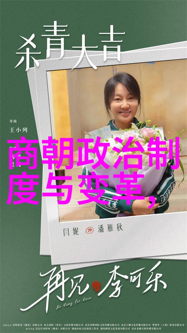 明朝灭亡后谁当了清兵入关后的混乱与权力转移