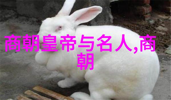 历史的朝代顺序排列 - 从黄帝到清朝历代更替的长河流转