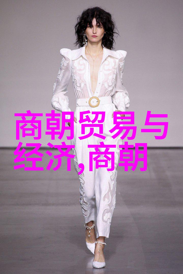 从汉朝到清朝一览中国历史的长河