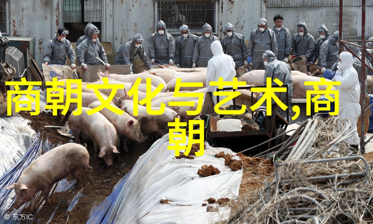 探索历史屏幕我国为什么不拍元朝电视剧的深度分析