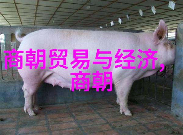 历史人物比较-朱佑樘与朱瞻基谁更为英明