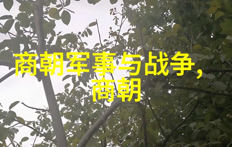 中国古代四大才子的社会足迹虞集的探索与贡献