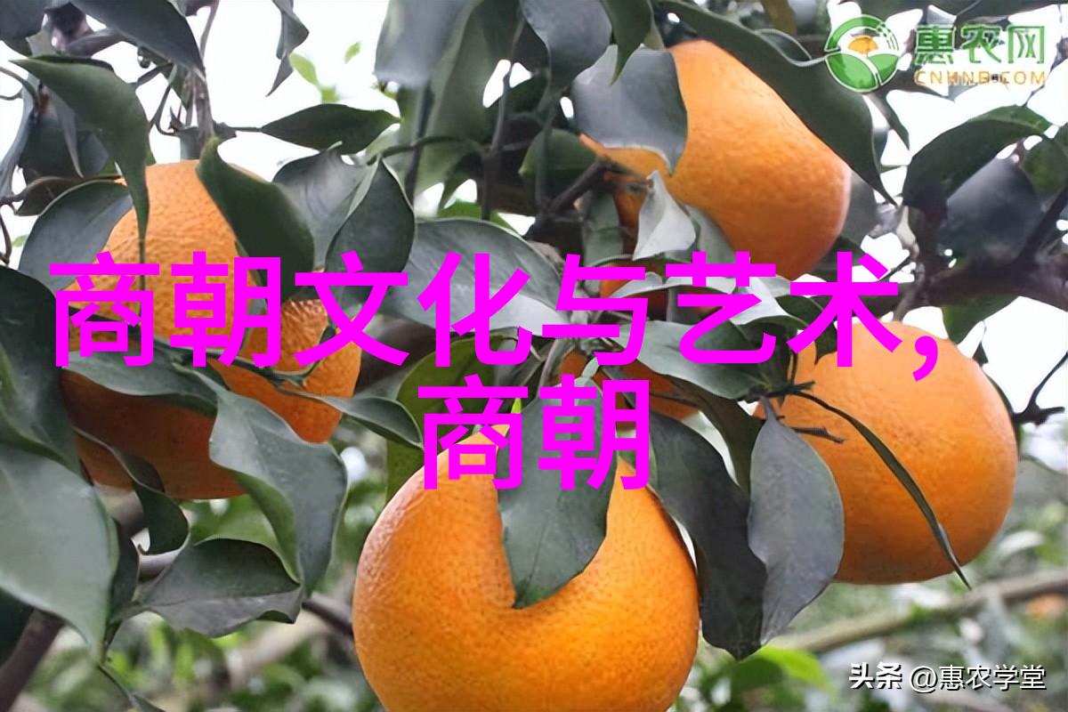 明朝宣德我的历史梦想之旅