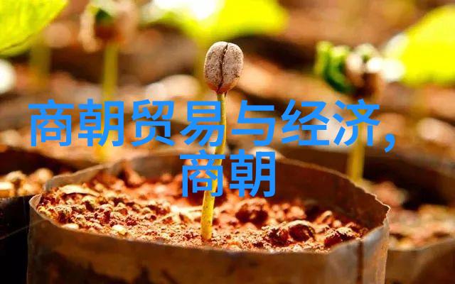 元明朝历史简介-交替与繁荣从忽必烈到朱元璋的兴衰变迁