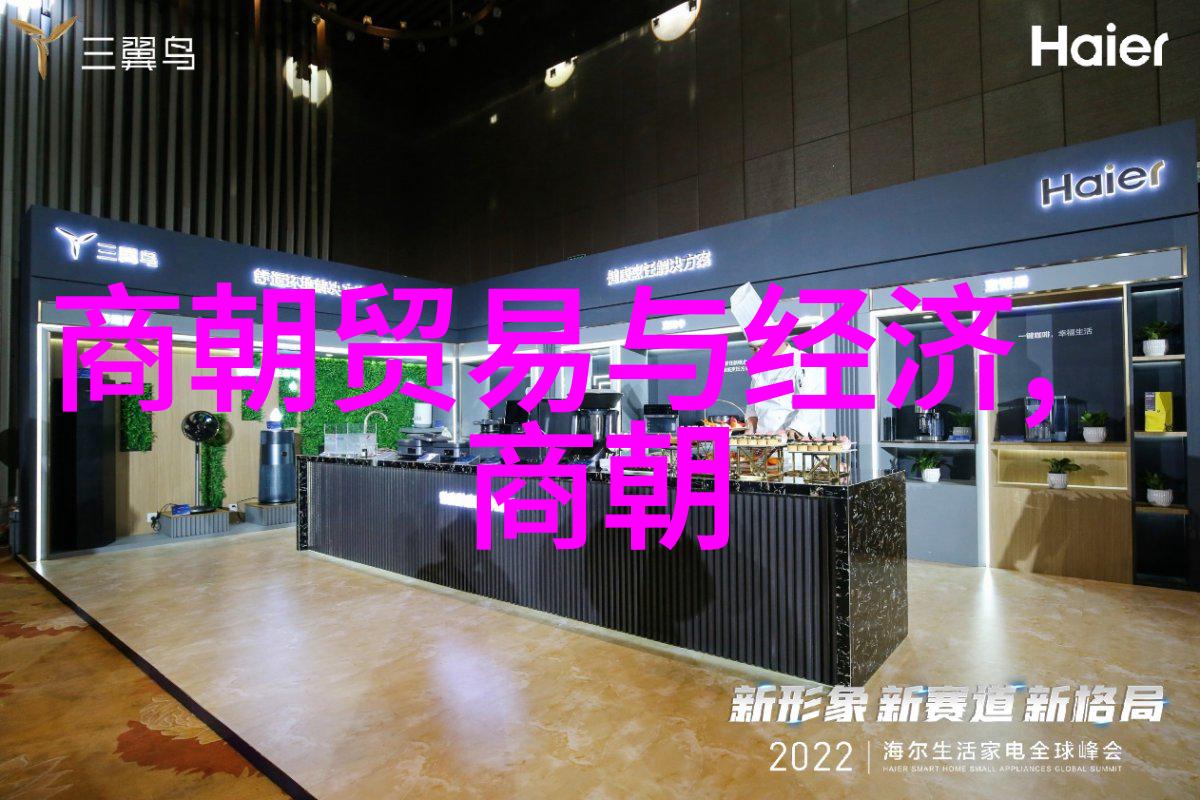 金城银巷下的元代都会生活