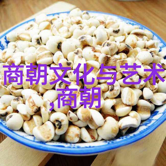 明朝的史实-辉煌与衰落重读明代历史