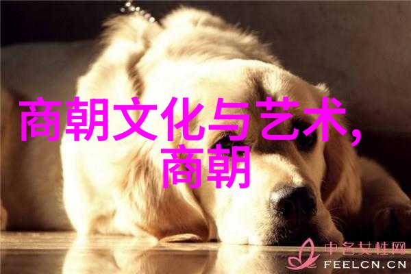 彻夜流香沉浸在迷人的香氛世界
