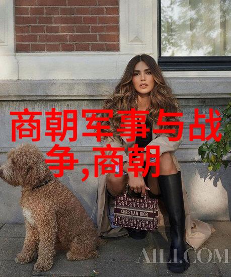 璀璨的明镜大明历史的迷雾与光辉
