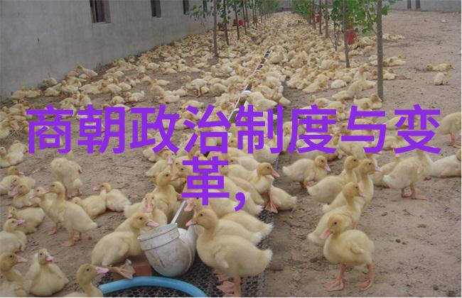 从绚烂的长安到荒凉的大漠唐朝历史的辉煌与衰落