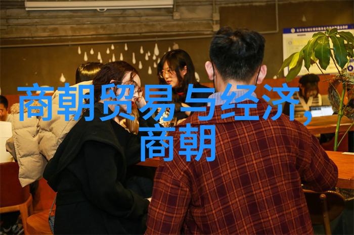 元朝都城繁华元代城市文化与艺术