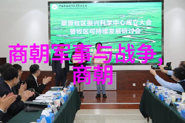 历史唐-探秘古都揭秘哪一本书籍最准确地记录了唐朝的辉煌与衰落