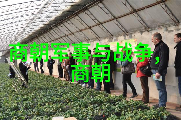 明朝人物统计-揭秘明朝千年国祚的历史人数之谜