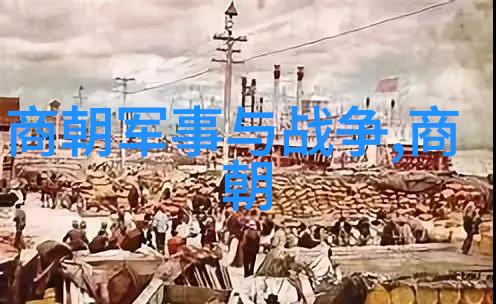 大明风华一场穿越时空的奇遇