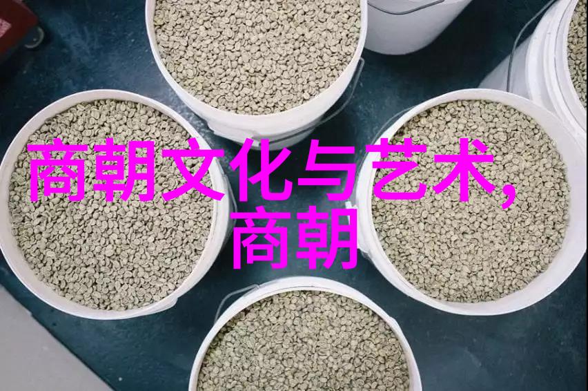 明朝的辉煌与衰落探索历代君主数量之谜