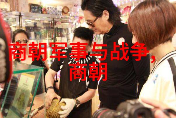 明朝 传奇 - 龙凤盛世明朝的荣耀与梦想
