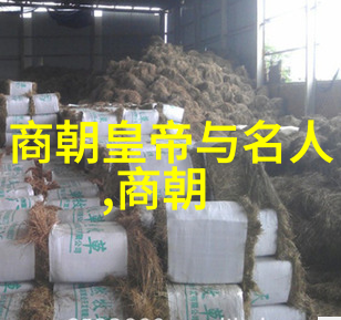 中原地理优势被忽视为什么明清能兴而元不成