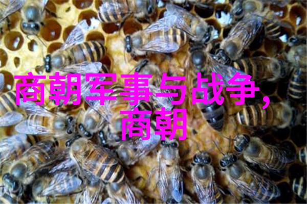 中国历史故事有哪些从屈原到岳飞的忠贞情怀