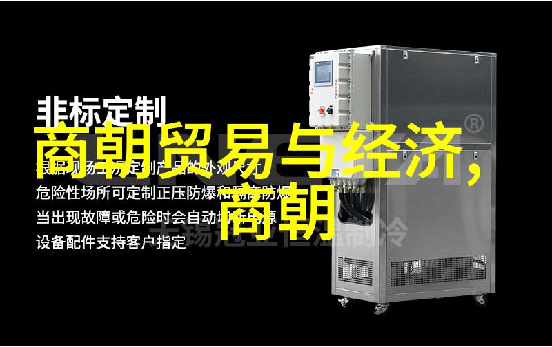 末代君主与民族复兴记述明清时期对待少数民族政策
