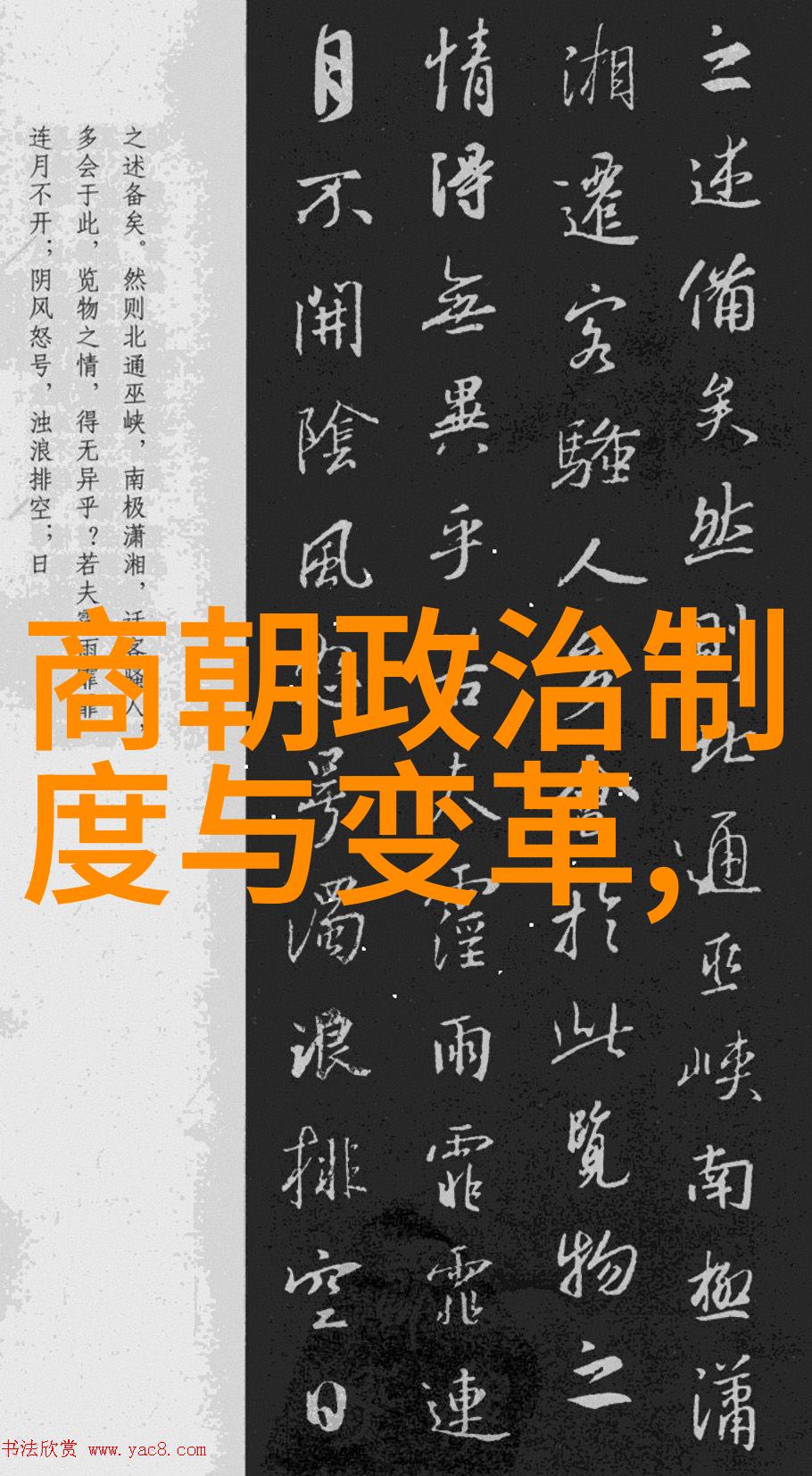 宠你入怀-温暖的拥抱如何用心呵护你的宠物成长
