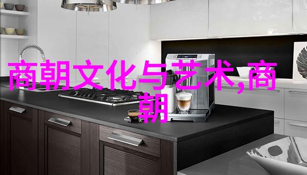 秦昭襄王历史长河中的智慧与勇气