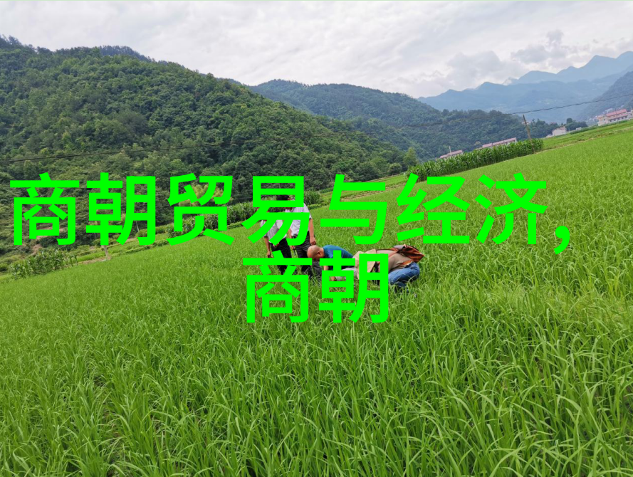 明未四大奇案中的未字指的是什么时代