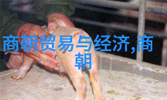 明朝衰退的时点我看明朝从嘉靖年间开始就有点不对劲了