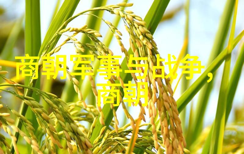 历史上的罪恶之巅世界上哪个朝代留下了最多的血腥印记