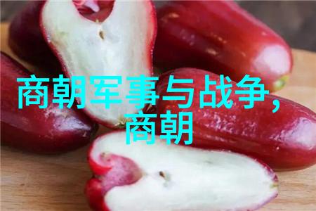 明朝继承人万历之后的皇位争夺战