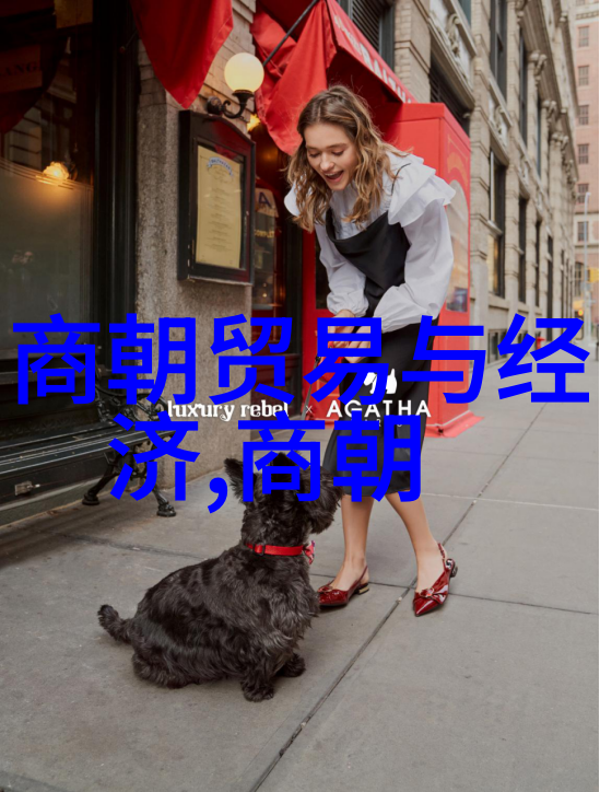 探秘古代奇石一段关于中国历史上的稀世珍宝的趣闻故事