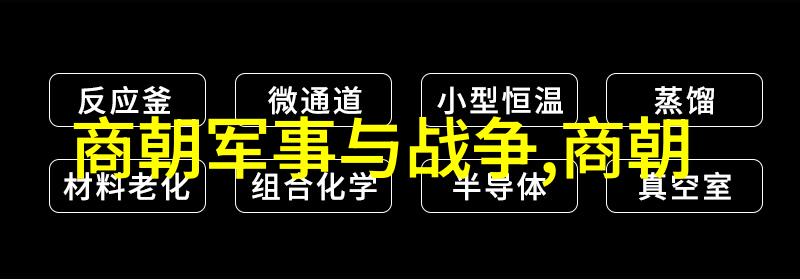 排名前列的君主历史上的贤明与荒淫之君
