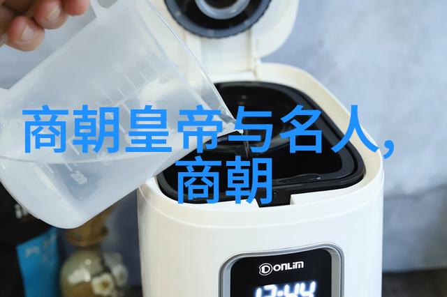 第六届黄梅戏艺术节文化真相桃花扇舞台上的人物展现