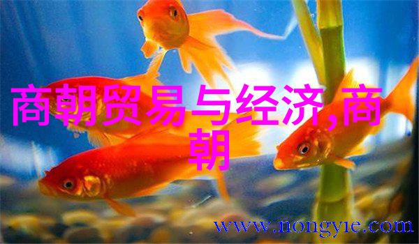 中国民间故事文王即位为什么没有穿黄袍体现中国优秀传统文化的故事