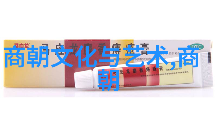 林邑王国及其在唐五代北方六镇后的衰落