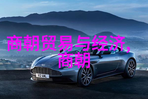 宋朝奇遇录刺客与书生之间的诡计交错