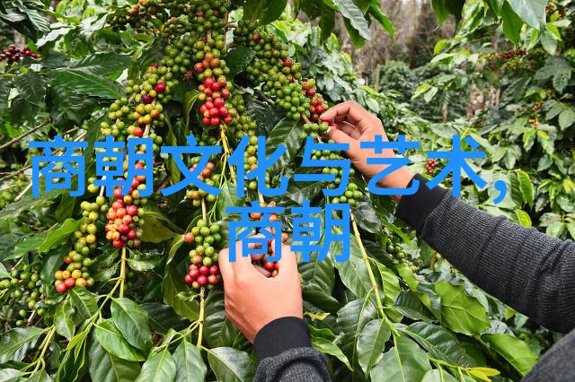 元朝灭亡的原因我看元朝是这样完蛋的