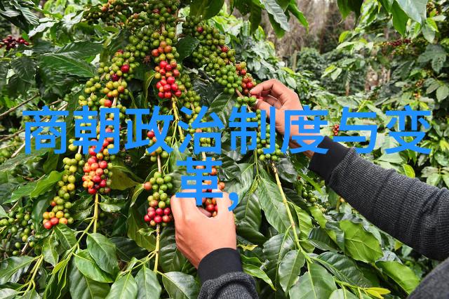 历史朝代口诀串从黄帝到清历经千秋