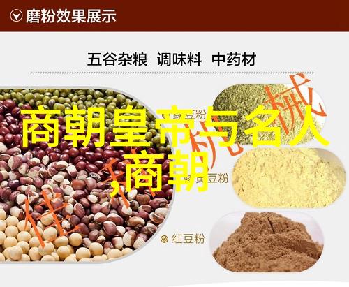 明朝的开国之路朱元璋的崛起与统一