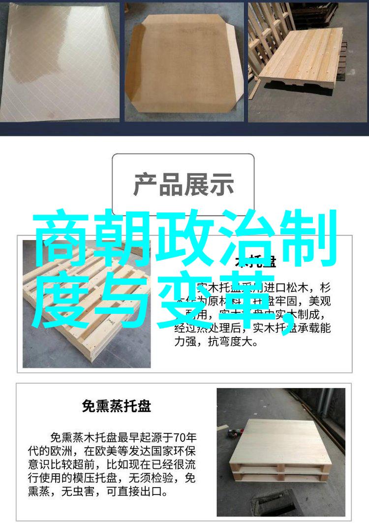 南宋覆灭元朝征服的深刻原因政治经济军事文化多维度分析