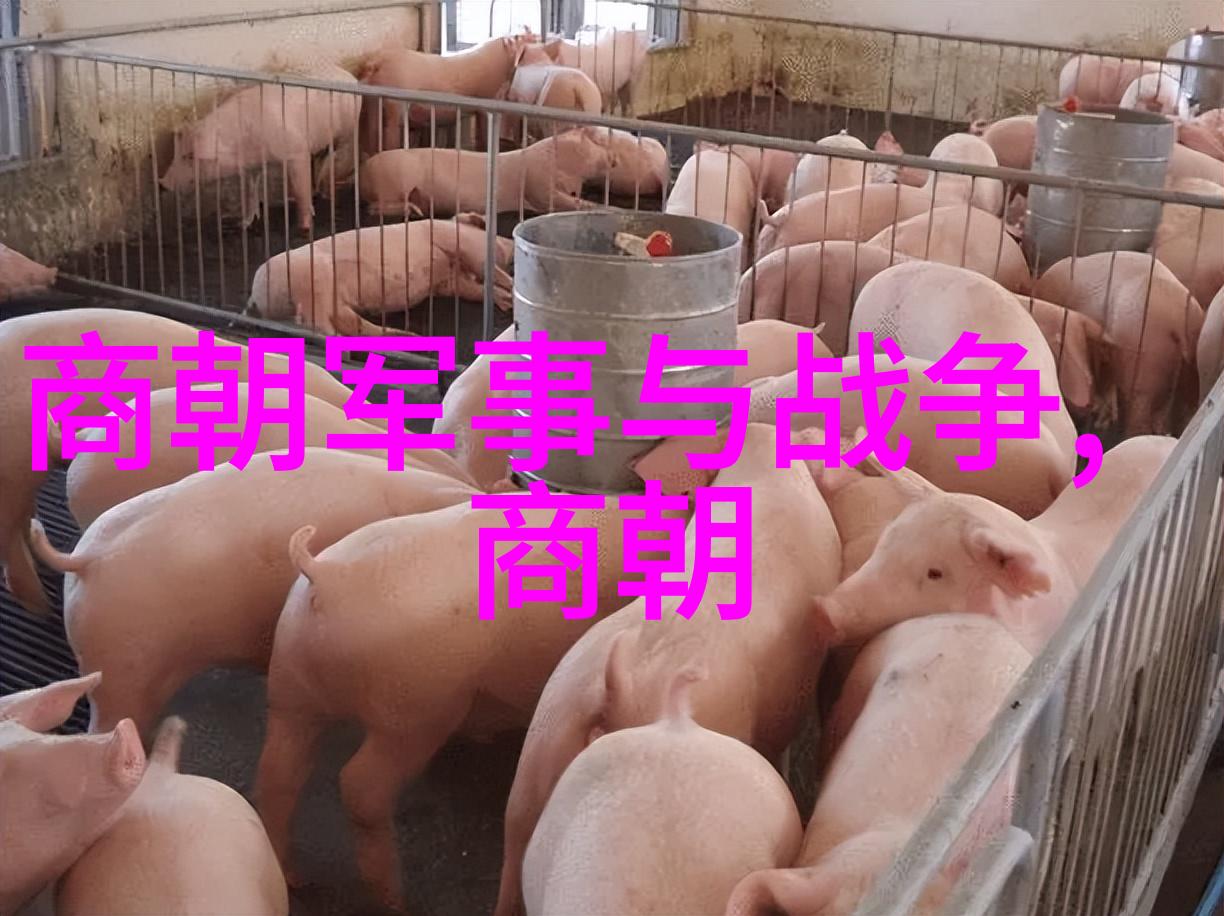 明朝那些事txt未删减版下载我是如何遇见明朝那些事的一段关于历史与文本的奇妙故事