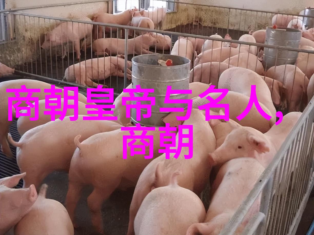 刘晓斌楷书隶书的魅力探秘