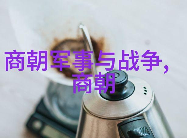 北魏灵太后钱惕明的传奇光芒