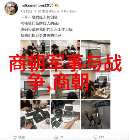 49式动作精准武术与现代追逐