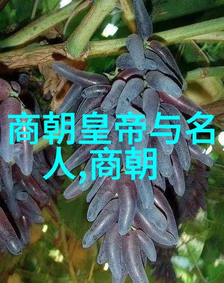 明宣宗朱瞻基为何寿命这么短-天启帝的短暂统治与病痛纠葛