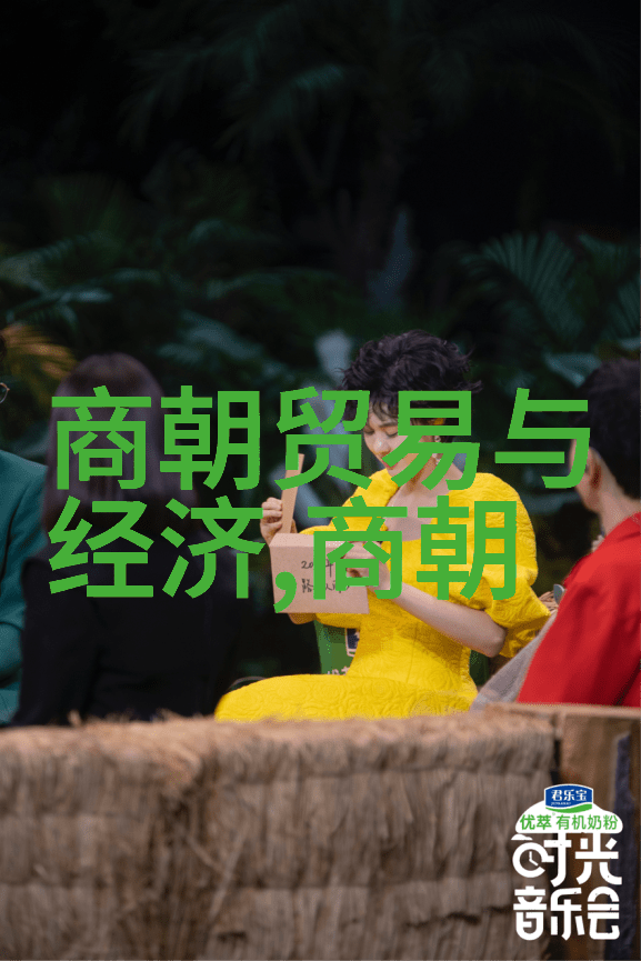 明朝灭亡后谁当了-南明政权的兴衰与诸侯割据