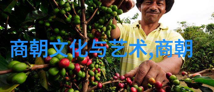 明月之下千年秘密